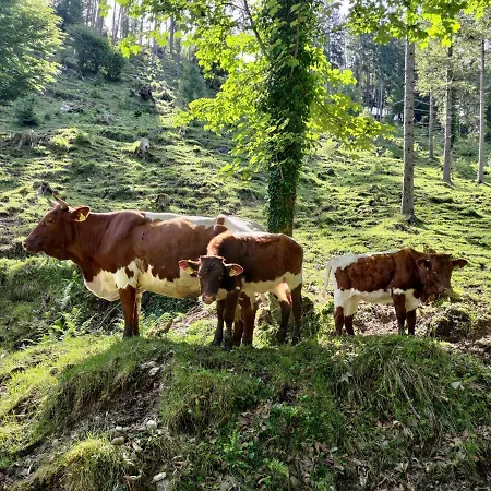 Ferienwohnung Hechtsee * Kiefersfelden